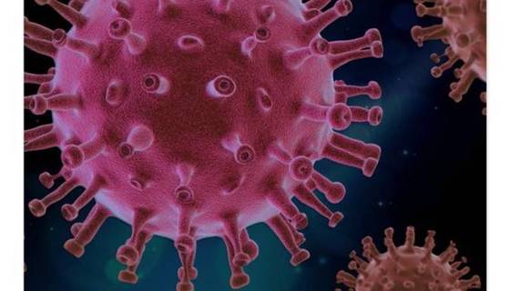 ΠΟΣΕΕΠΕΑ: ΨΗΦΙΣΜΑ ΓΙΑ ΜΗ ΣΥΜΠΕΡΙΛΗΨΗ ΤΩΝ ΕΙΔΙΚΩΝ ΣΧΟΛΕΙΩΝ ΣΤΗΝ ΑΝΑΣΤΟΛΗ ΛΕΙΤΟΥΡΓΙΑΣ ΤΩΝ ΣΧΟΛΕΙΩΝ