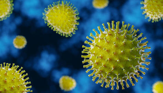 ΕΠΙΣΤΟΛΗ ΔΙΑΜΑΡΤΥΡΙΑΣ ΤΟΥ ΕΚΠΑΙΔΕΥΤΙΚΟΥ ΠΡΟΣΩΠΙΚΟΥ ΤΩΝ ΣΜΕΑΕ ΑΙΓΑΛΕΩ