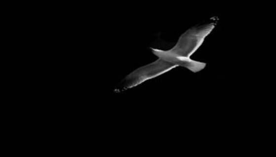 ΠΕΝΘΟΣ ΣΤΗΝ ΕΙΔΙΚΗ ΕΚΠΑΙΔΕΥΣΗ: 